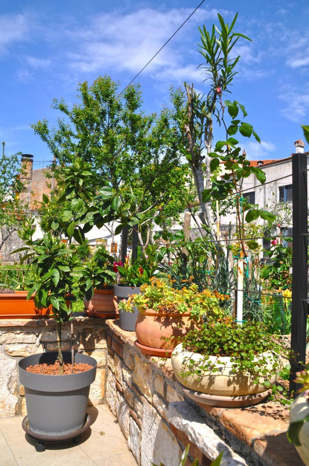 Apartment Delight City Rovinj Exterior foto